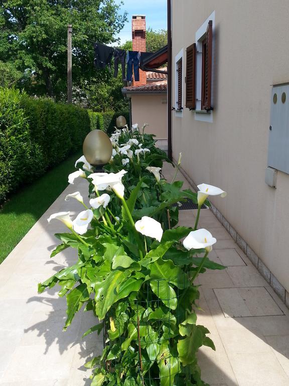 פורץ Ulika Rooms & Apartments מראה חיצוני תמונה
