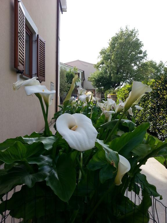 פורץ Ulika Rooms & Apartments מראה חיצוני תמונה