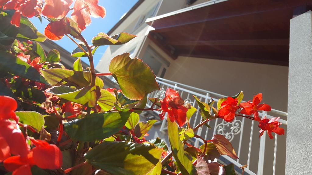 פורץ Ulika Rooms & Apartments מראה חיצוני תמונה